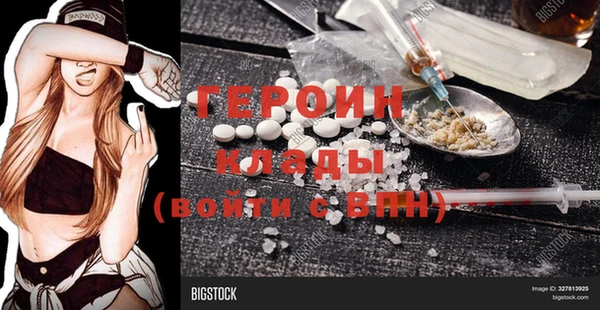 прущие грибы Новозыбков