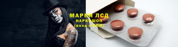 каннабис Новодвинск