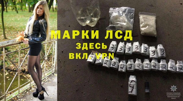 прущий лед Алзамай