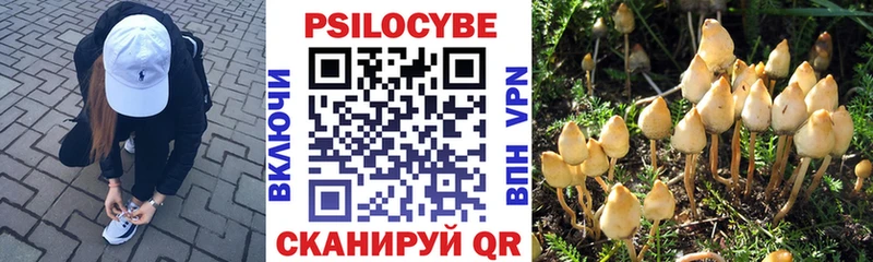 купить   Березники  Псилоцибиновые грибы мухоморы 